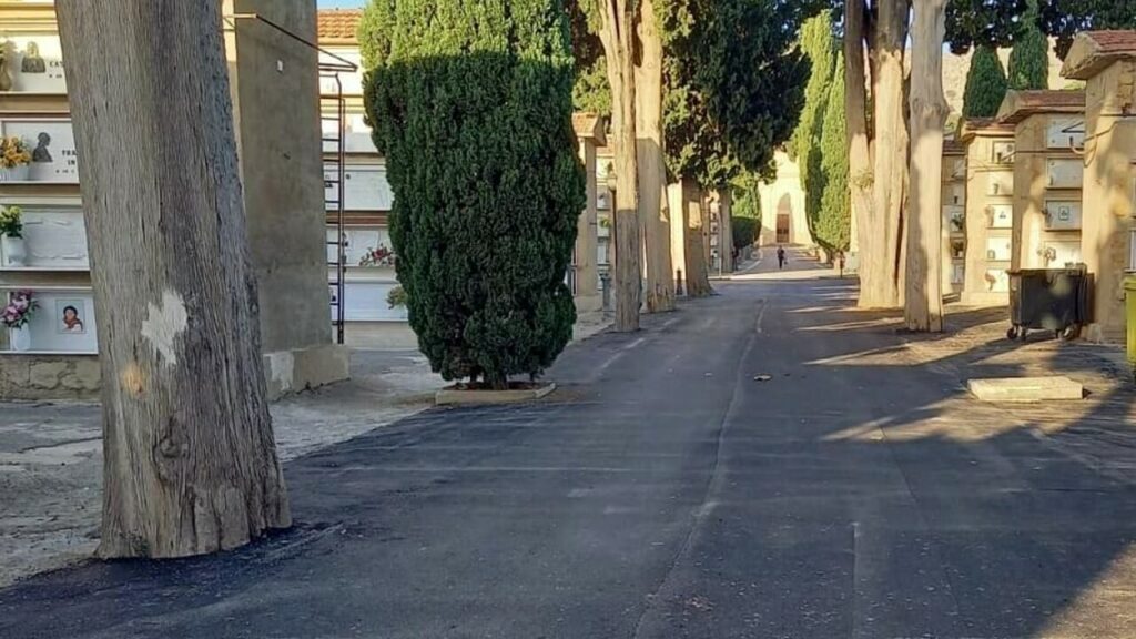 Asfalto troppo invasivo al cimitero di Favara, la protesta del Fronte Verde: «Gli alberi rischiano di soffocare»